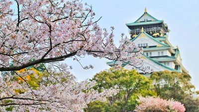 [HOT] Tour Nhật Bản Mùa Hoa Anh Đào Bán Chạy Nhất 2026: Osaka - Kobe - Kyoto - Nagoya - Núi Phú Sĩ - Tokyo 6N5Đ - Image - 9147